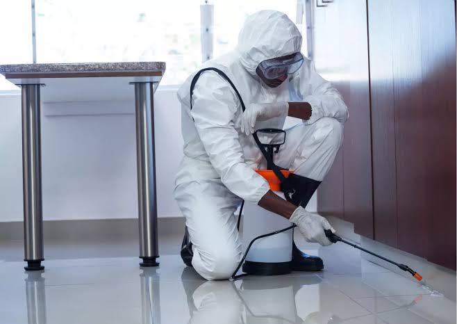pest control service